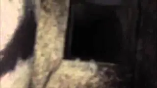 Airduct Cleaning Before and After