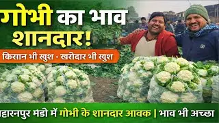 सहारनपुर मंडी में गोभी की शानदार आवक | भाव भी अच्छा, किसान और खरीददार दोनों खुश