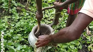 Easy Snake Trap - Build Deep Hole Underground Using Long Pipe &Big
