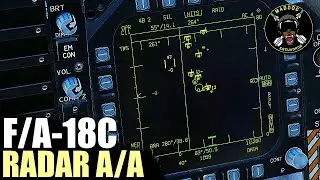 DCS F/A-18C Hornet: Te ense&ntilde;o el radar para su uso BVR | ESCUADR&Oacute;N MADDOG