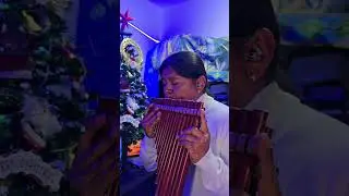 FELIZ NAVIDAD #quenacho #nativeflutes #livemusic #panflute #quena #zampo&ntilde;a