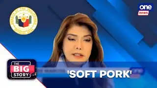 House lawmakers push back vs. Sen. Imee's 'soft pork' claims