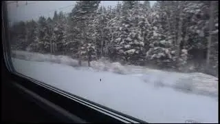DEPRESSIVE BLACK METAL COMPILATION