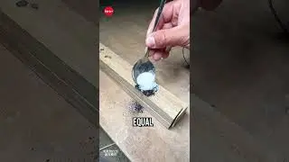 Ancient Fire Starting Technique #lifehacks #5minutecrafts #diy