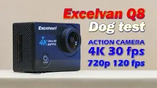 Excelvan Q8. 4K dog test
