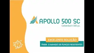 APOLLO 500 SC &ndash; Excelente solu&ccedil;&atilde;o para o manejo de fungos resistentes