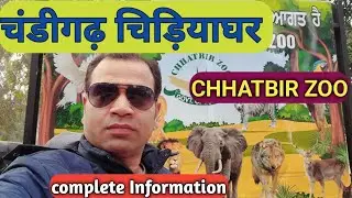 4K|| CHANDIGARH ZOO ( CHHATBIR ZOO ) ZOO TICKET PRICE 2024 SAMPURN JANKARI