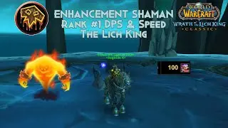ICC 25m H LICH KING RANK #1 WORLD ENHANCEMENT SHAMAN (10,489 dps)