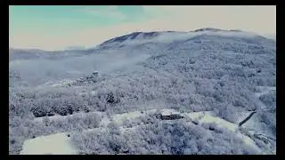 Prima Neve