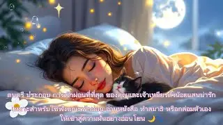 ดนตรี นุ่มละมุน โอบกอดคุณให้นอนหลับอย่างสบายหลับฝันดีไปกับแมวใต้แสงจันทร์ 🎄สำหรับใช้ฟังขณะพักผ่อน