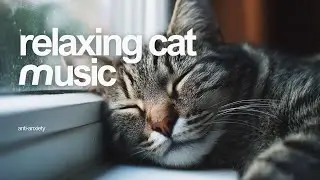Anti-Anxiety Relief Music for Cats | Pure Relaxation