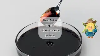 #Humico #HumxAmino (Amino Oligosaccharide Peptide Liquid) Organic Fertilizer for Crop Growth #China