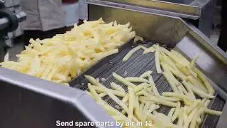 TCA 100kg/h fully automatic french fries making machine Potato production line