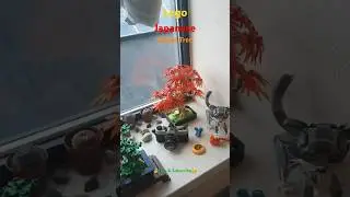 Lego Japanese Maple Tree #lego #botanicals #shorts