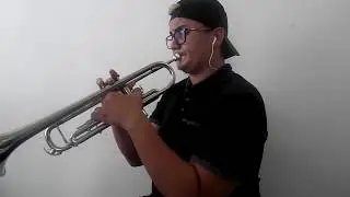 Flor pálida (cover trompeta)