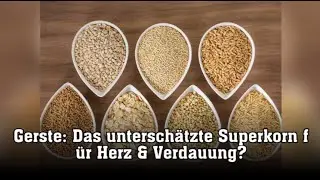 Gerste: Das untersch&auml;tzte Superkorn f&uuml;r Herz & Verdauung?