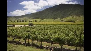 Colchagua Valley