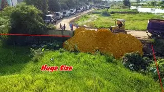 Huge Size Project!! Nicely Landfill & Pushing By Bulldozer D31-P Komatsu with 5T Dump Truck, Mix VDO