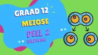 Meiose DEEL 2