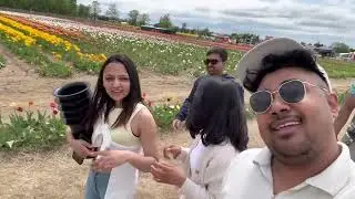#tulipfarm #nepaleseincanada #exploringcanada #shortvlog