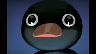 Nok Nok penguen 🐧🐧