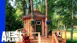 Alaskan Treetop Sauna | Treehouse Masters: Behind the Build