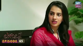 Aik hi bhool Episode 65 | ARY Zindagi