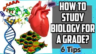 How to study Biology to get an A? #Advance level # Study tips
