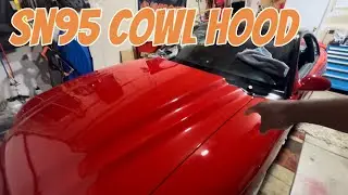 Every Sn95 Mustang Should Have This!!!