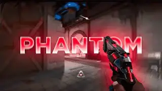 Phantom 🔥- EsDeeKid (Valorant Montage)