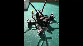 X2 TLE 88mm 2s micro brushless!!!