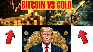 Bitcoin vs. Gold: The 'Safe Haven' Myth Busted in 2026?