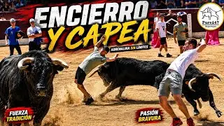 ДАГАНЗО СВЕРХУ🙌БУЛЛ-РАН И КАПЭА🔥🏆