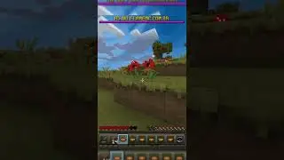 Um noob tentando bater seu record de kills (parte 5) #hg #minecraft #pvp