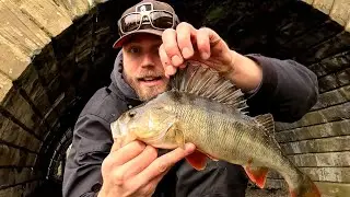 First Ftrost Winter Perch Fishing