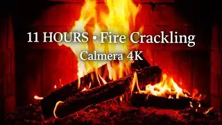 🔥 Fireplace 4K Live |Cozy Fire Relax &bull; Sleep &bull; Ambient Sound - Kominek 4K ASMR Kamin