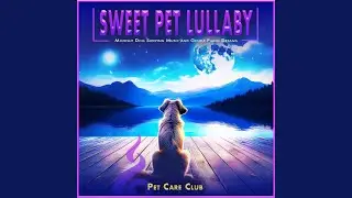 Snuggly Pet Dreams Advantage