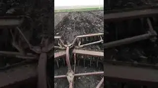 JD 430 turbo disking