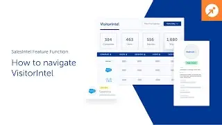 Как ориентироваться на сайте VisitorIntel