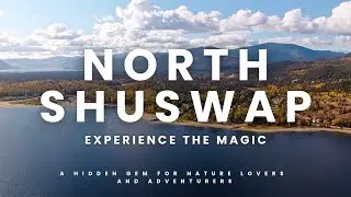 Why the North Shuswap is the Perfect Place to Live, Work, and Play