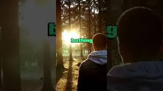 Forest Bathing: Boost Your Brainpower Naturally 🌳🧠 #forestbathing  #cognitiveboost