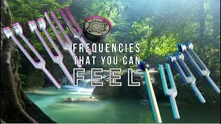Sound Healing at Home: Tuning Fork Sets You&rsquo;ll Love
