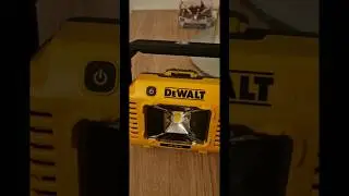 Dewalt Task light 2000 lumens.