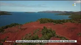 Réhabilitation d'un site minier en Nouvelle Calédonie