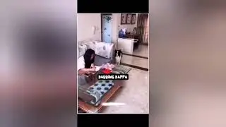 Dog fighting tamil dubbing comedy cat #cat#dogcomedytamil#tamilcomedy #trendingnow#viral#shorts