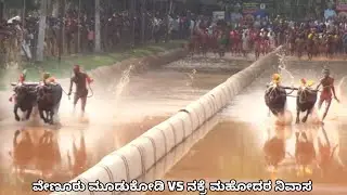Venur permuda kambala 2025 pre-qtr-finals to finals ವೇಣೂರು ಪೆರ್ಮುಡ ಕಂಬಳ