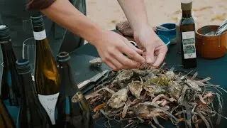 Great Southern | Wines of Western Australia