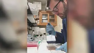 Antibody tests helping researchers come up with answers