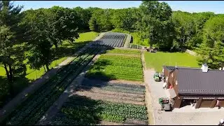 Let&rsquo;s Grow Our Own Food