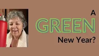 What is a green New  Year resolution?